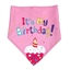 Picture of PET BIRTHDAY BANDANA